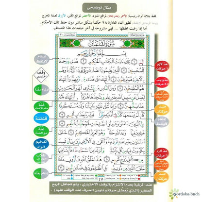 Quran Tajweed - nur Arabisch, Hafs (24x17cm)